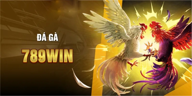 Giới thiệu 789Win - Nhà cái sở hữu kho game đồ sộ bậc nhất