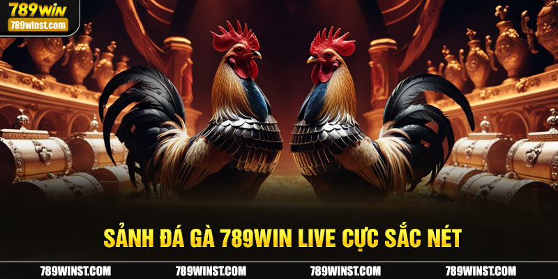 Sảnh đá gà 789WIN live cực sắc nét